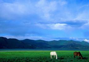 Yamzho Yumco Holy Lake
